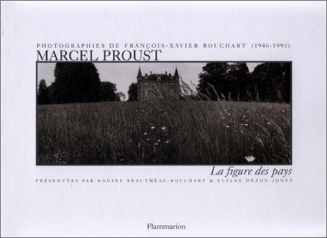 Marcel Proust : La Figure des pays