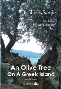 An Olive Tree On A Greek Island