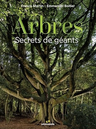 Arbres, secrets de géants