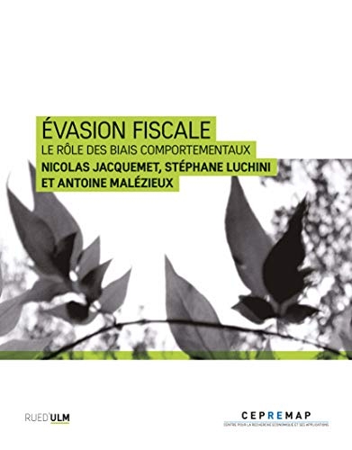 Evasion fiscale : Le rôle des biais comportementaux