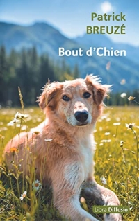 Bout d'chien