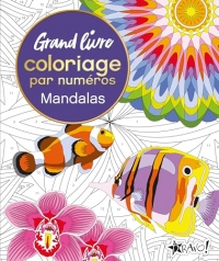 Grand livre coloriage par numéros - Mandalas