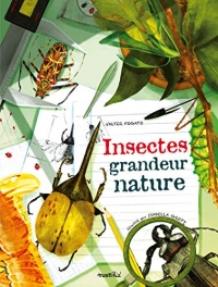 Insectes grandeur nature