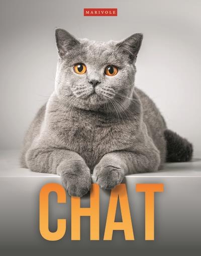 Chat