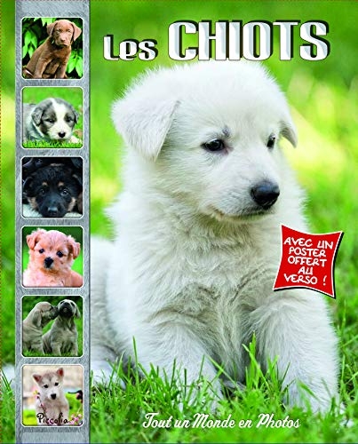 Les chiots : Tout un monde en photos