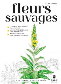 Les carnets du scarabée - Plantes sauvages