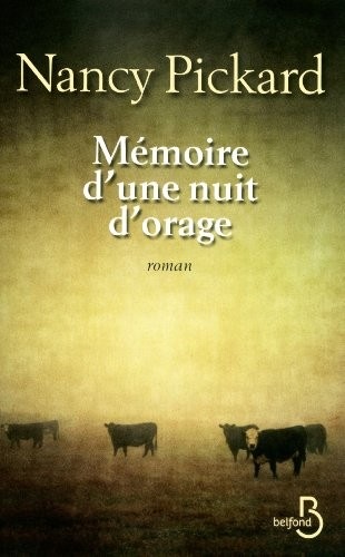 Mémoire d'une nuit d'orage