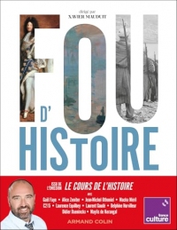 Fou d'Histoire (Hors Collection)