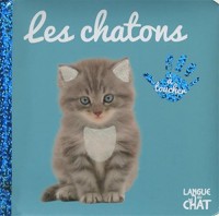 Bébé touche-à-tout - Les chatons (27)