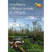 Amphibiens d'Afrique centrale et d'Angola : Clé de détermination illustrée des amphibiens du Gabon et du Mbini