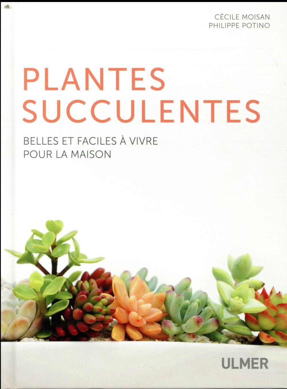 Les plantes succulentes - Belles et faciles à vivre pour la maison