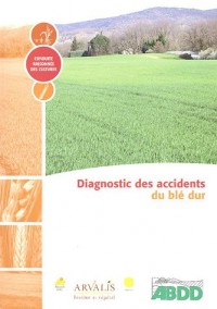 Diagnostic des accidents du blé dur