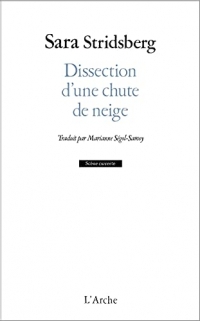 Dissection d'une chute de neige