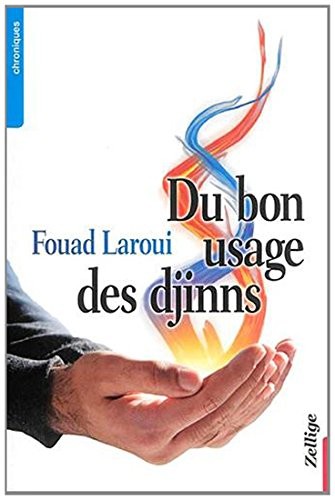 Du Bon Usage des Djinns