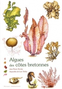 Algues des côtes bretonnes