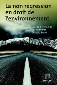La non régression en droit de l'environnement