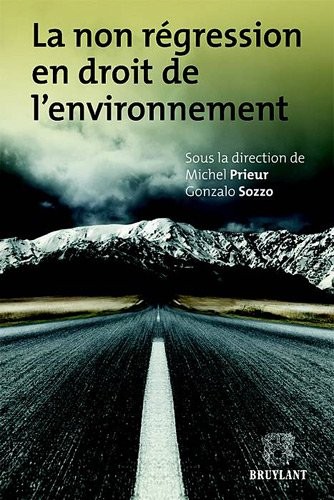 La non régression en droit de l'environnement