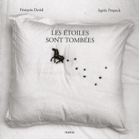 Les étoiles sont tombées