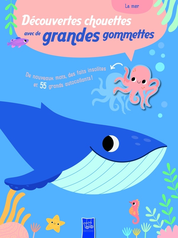 La mer découvertes chouettes