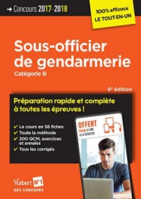 Concours Sous-officier de gendarmerie - Catégorie B - Préparation rapide et complète à toutes les épreuves - Concours 2017-2018