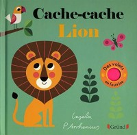 Cache-cache Lion