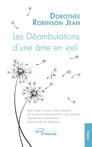 Les Déambulations d'une âme en exil