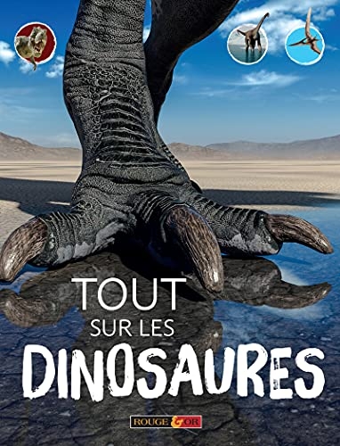 Tout sur les dinosaures - Encyclopédie - Dès 8 ans