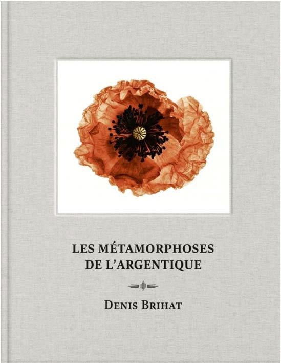 Les métamorphoses de l'argentique : Denis Brihat