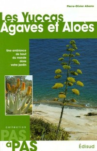Les Yuccas Agaves et Aloès : Une ambiance de bout du monde dans votre jardin