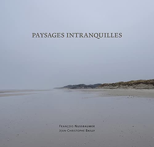Paysages intranquilles