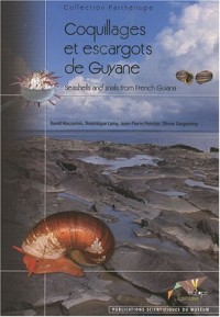 Coquillages et escargots de Guyane