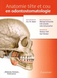 Anatomie tête et cou en odontostomatologie