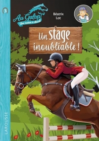 Roman AU GALOP, une année à cheval - Un stage inoubliable