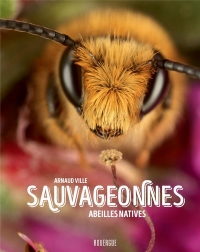 Sauvageonnes: Les abeilles sauvages