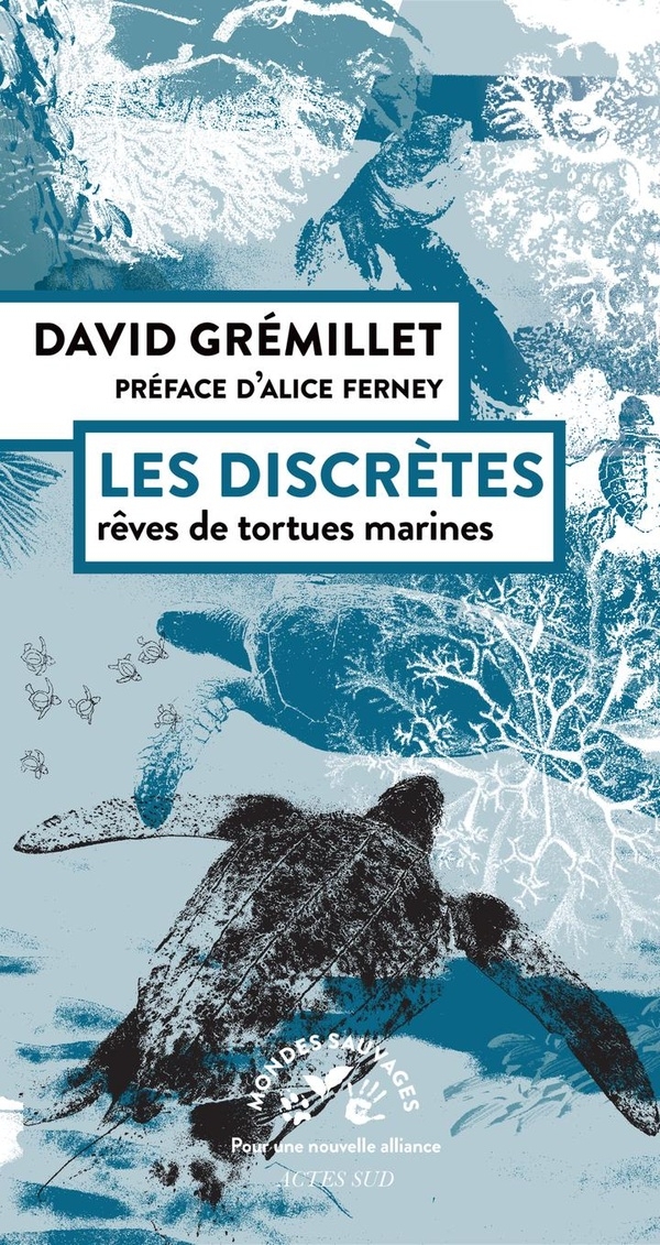 Les discrètes: Rêves de tortues marines