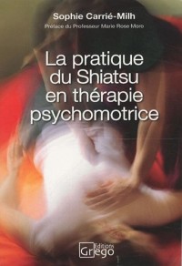 La pratique du shiatsu en thérapie psychomotrice : Témoignage clinique et nouvelles perspectives