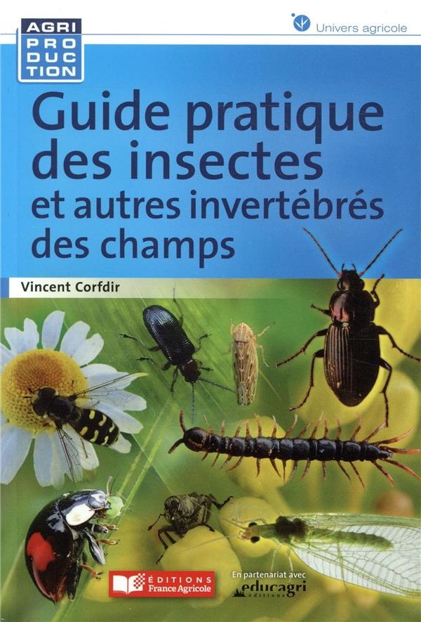 Guide de reconnaissance de la macrofaune de nos champs