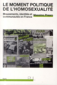 Le moment politique de l'homosexualité : Mouvements, identités et communautés en France