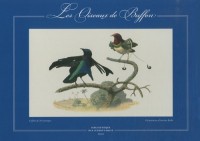 Les Oiseaux de Buffon : Coffret de 20 estampes
