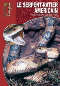 Le Serpent Ratier: Orthiophis Taeniurus