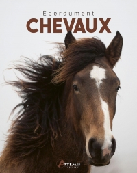 Eperdument chevaux