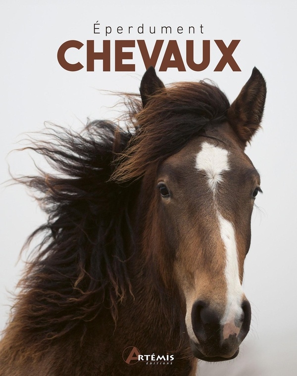 Eperdument chevaux