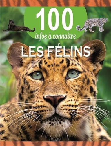 Les félins - 100 infos à connaître