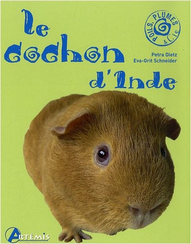 Le Cochon d'Inde