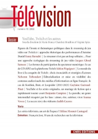 Télévision 13 - Youtube, Twitch et les autres