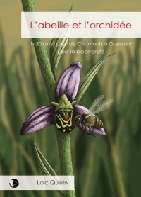 L'abeille et l'orchidée