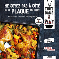 Ne soyez pas à côté de la plaque (au four) !: Assaisonnez, enfournez, puis dégustez !