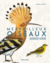 Beau livre Oiseaux grandeur nature