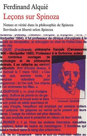 Leçons sur Spinoza