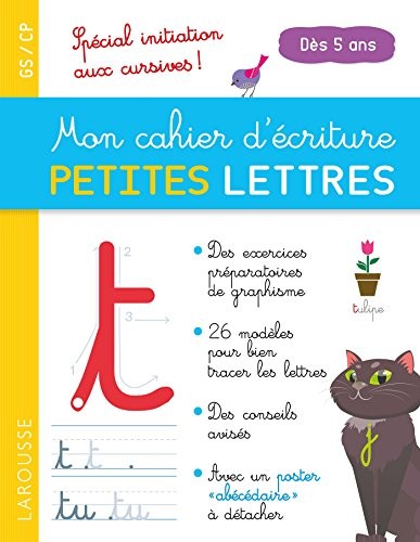 Mon cahier d'écriture Petites lettres dès 5 ans